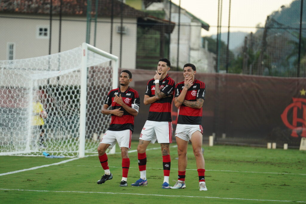 jogadores do Flamengo comemoram gol na partida contra Avaí.